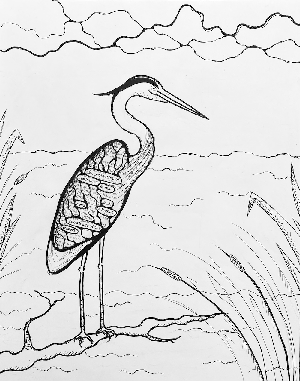 Heron 2 Heron 2