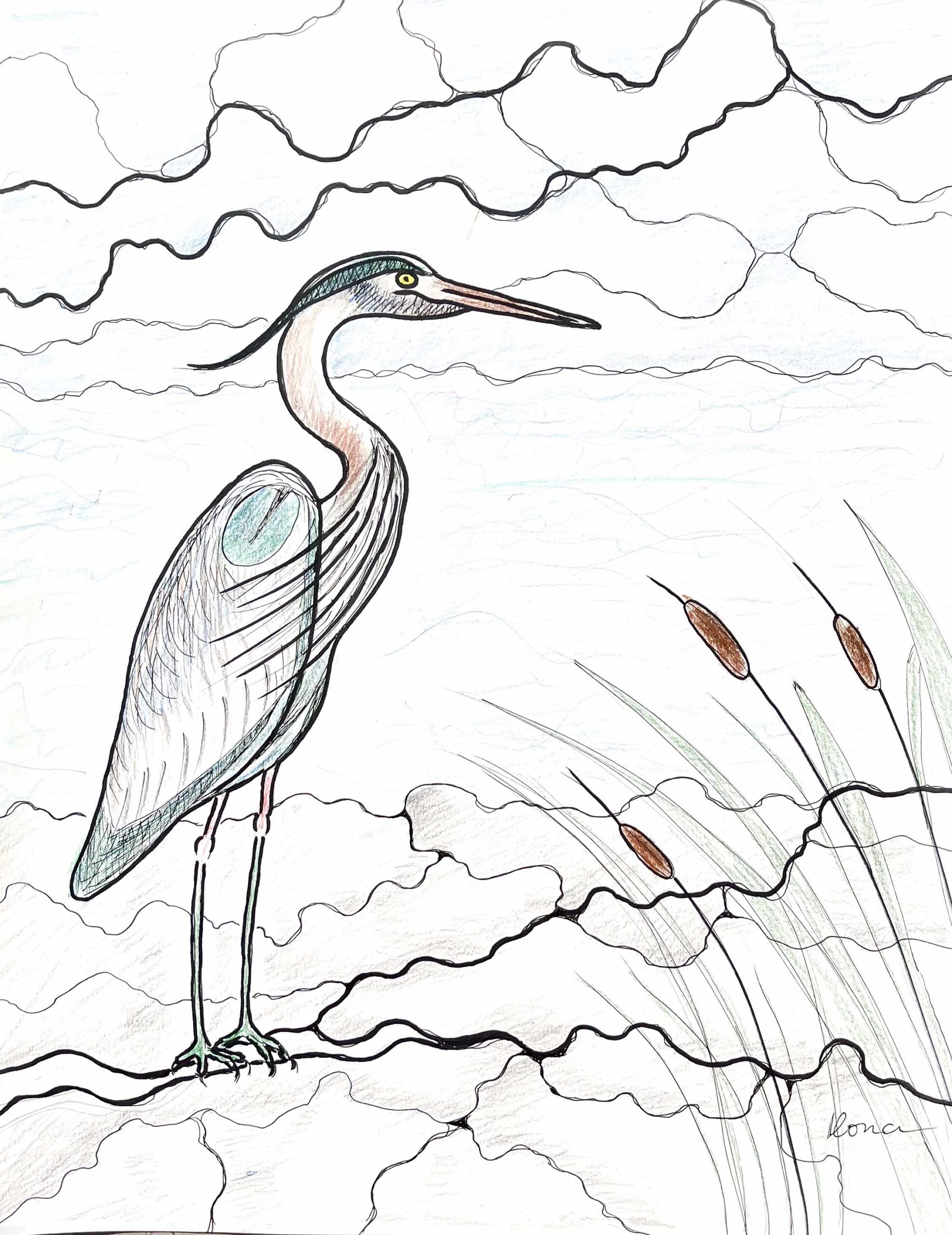 Heron 1 Heron 1